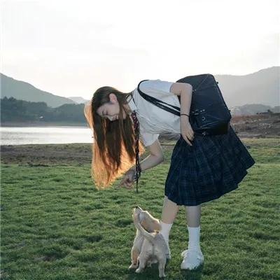 黑眉蚊
